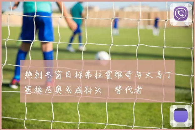 热刺冬窗目标弗拉霍维奇与大马丁塞梅尼奥或成孙兴慜替代者